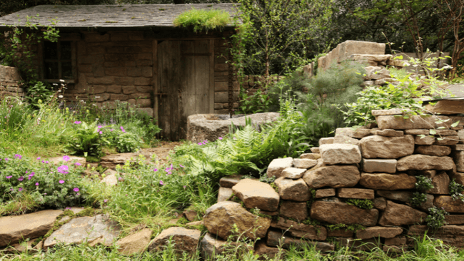 Garten mit wilden Pflanzen und alten Steinen