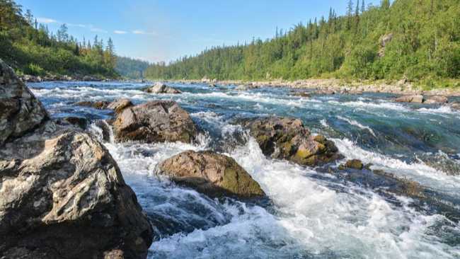 Fluss mit Stromschnellen