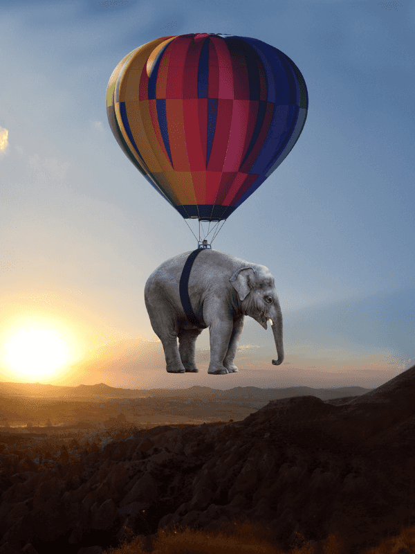Elefant das von einem Heißluftballon getragen wird