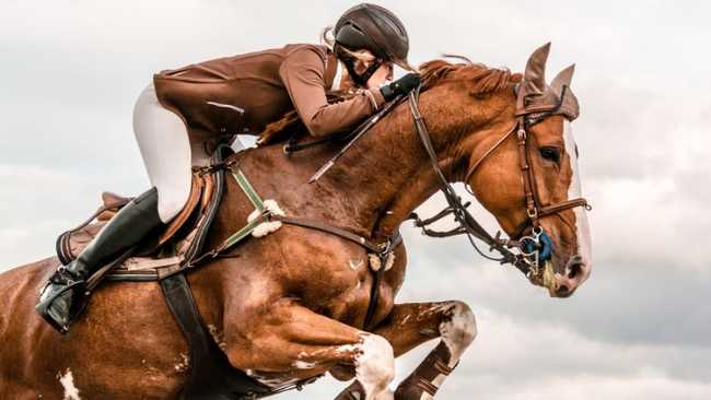 Reiterin mit Pferd als Metapher für das Unbewusste beim Mentalcoaching