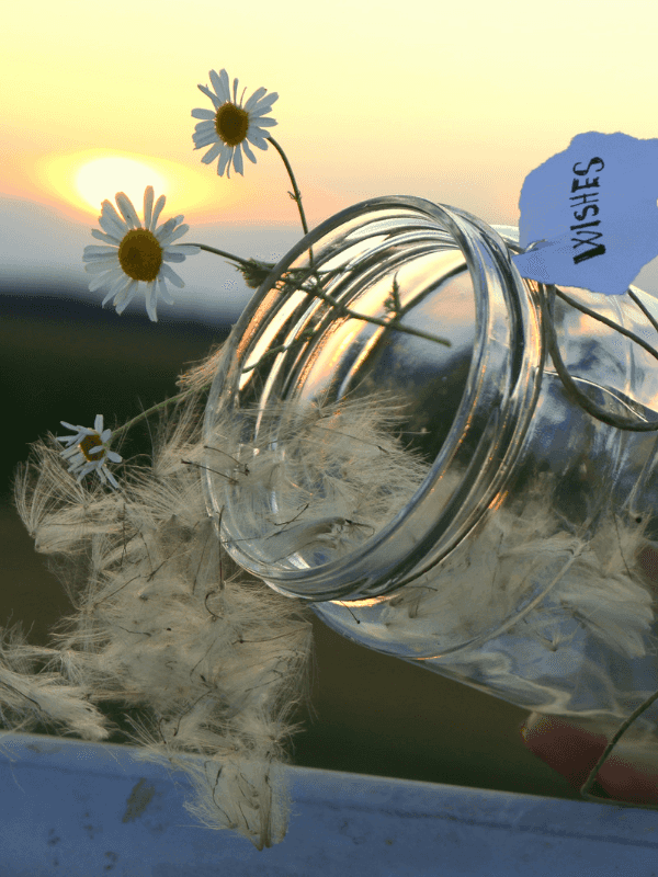 Leeres Marmeladenglas mit Pusteblumen und einem Etikett mit der Schrift "wishes"